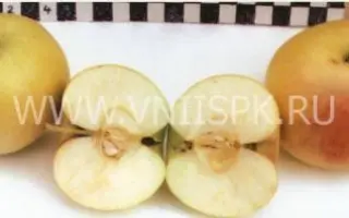 Георгиевское