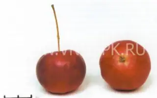 Горноалтайское