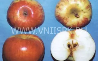 Дагомысское