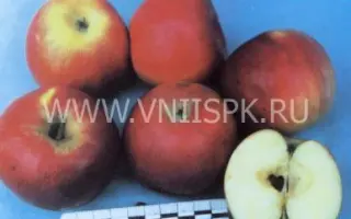 Джонаред (Джонатан Ред)