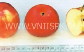 Дружба народов