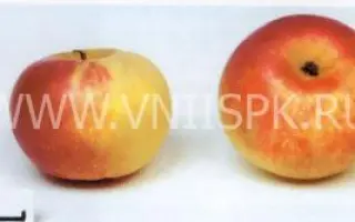  Ермаковское горное