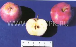 Ефремовское (Ефремовское №1)