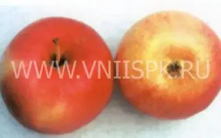 Жигулевское