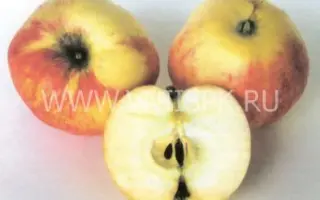 Избранница