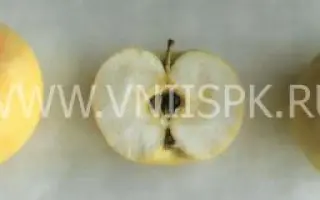 Казанищенское