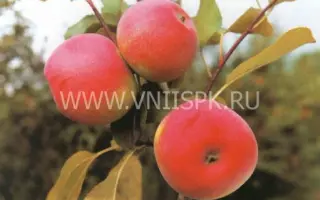 Карповское