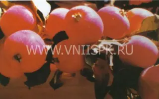 Краса Бурятии