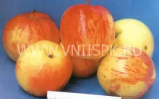 Крупное Ртищева