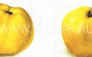 Куйбышевское