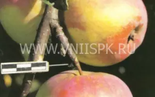 Куликовское