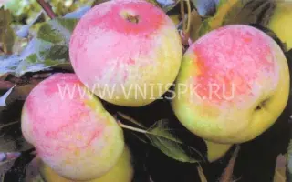 Марат Бусурин