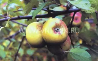 Мартовское