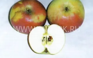 Московское зимнее