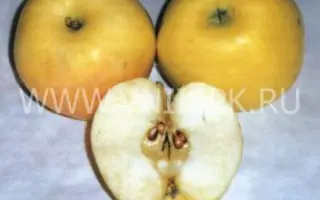 Московское позднее