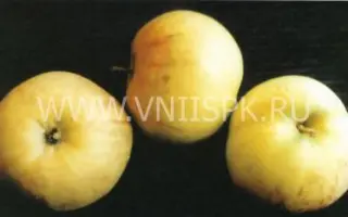 Надежда (Таганай)