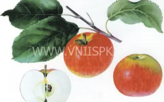 Осенняя радость