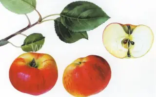 Память Мичурина