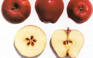 Пламя Эльбруса