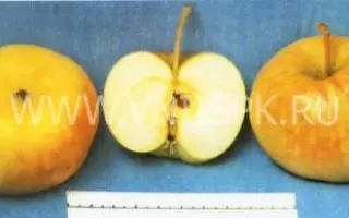 Ренет Громова