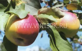 Рождественское