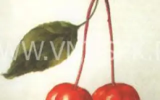 Сеянец Пудовщины