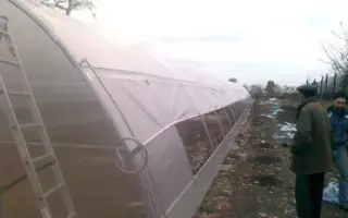 ФЕРМЕРСКАЯ 8