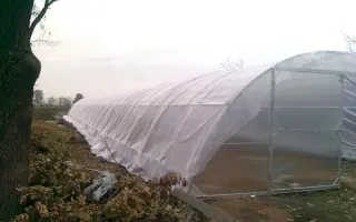 ФЕРМЕРСКАЯ 8