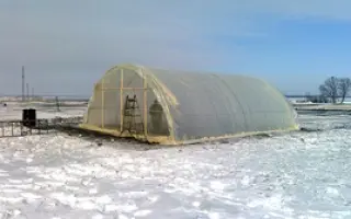 8*8 НАЧАЛЬНЫЙ ЭТАП