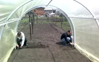 СЛОБОЖАНКА - 3