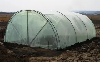 СЛОБОЖАНКА - 4