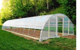 СЛОБОЖАНКА - 5