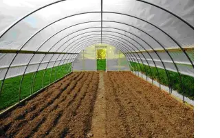 СЛОБОЖАНКА - 5