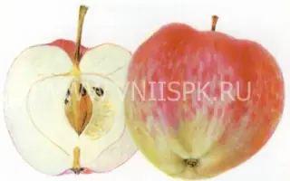 Суйслепское (Суйслепер, Малиновка)