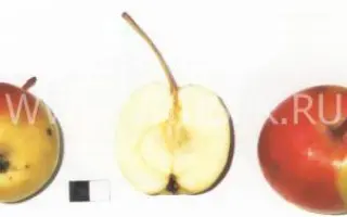 Уральский сувенир