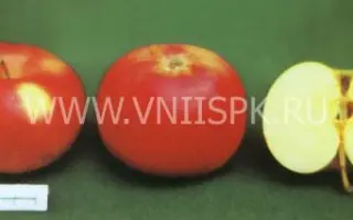 Яндыковское