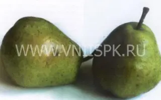 Адмирал Жерве