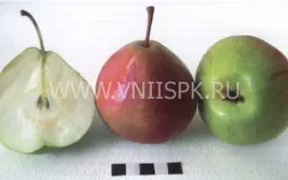 Алёнушка (Дюймовочка)