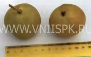 Башкирская летняя