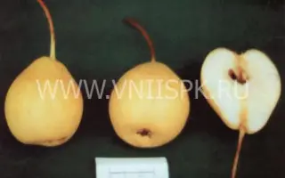 Белолистка