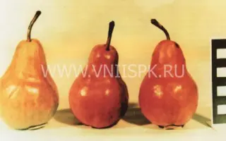 Вильямс Руж Дельбара (Вильямс красный, Макс Ред Бартлет)