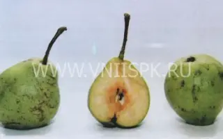 Гимринская