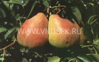 Горячеводская