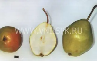 Добрянка (Сентябрина)