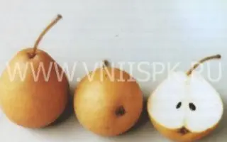 Дюймовочка