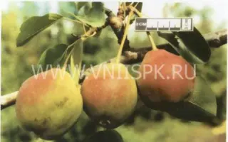 Каратаевская