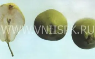 Космическая