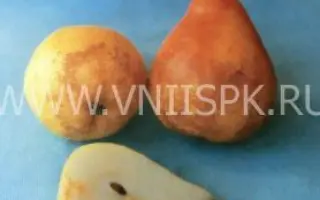 Краснодарская летняя