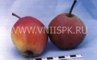 Любина (Аврора)