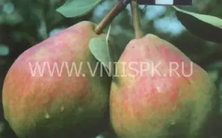 Муратовская